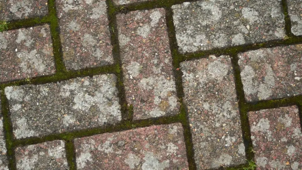 header-pressure-washing-2